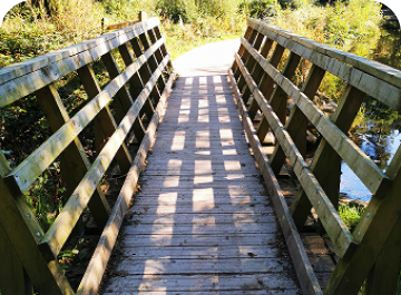 ImageWithFallback 1 | THRYV